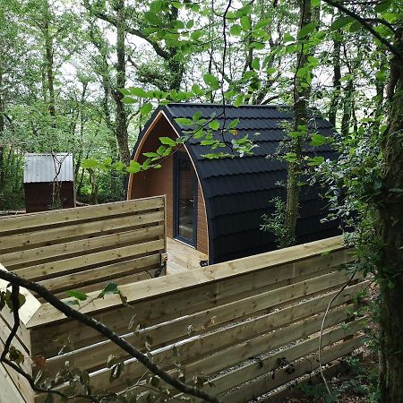 The Pod-Hot Tub-Woodland Lodges-St Clears-Carmarthen Exterior foto