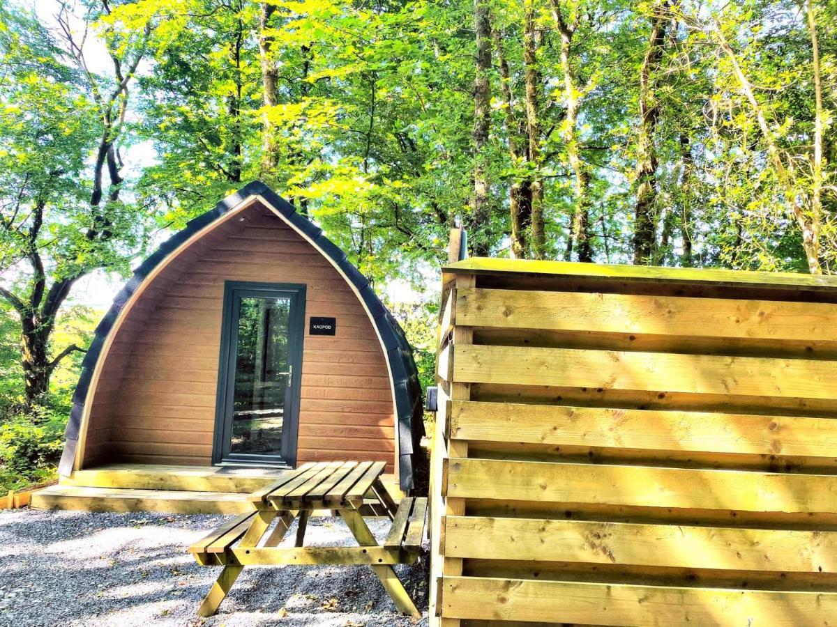 The Pod-Hot Tub-Woodland Lodges-St Clears-Carmarthen Exterior foto